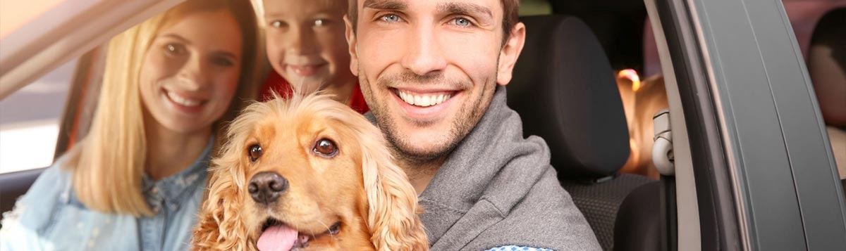 Kikapcsolódás és nyaralás kutyával (2. rész)