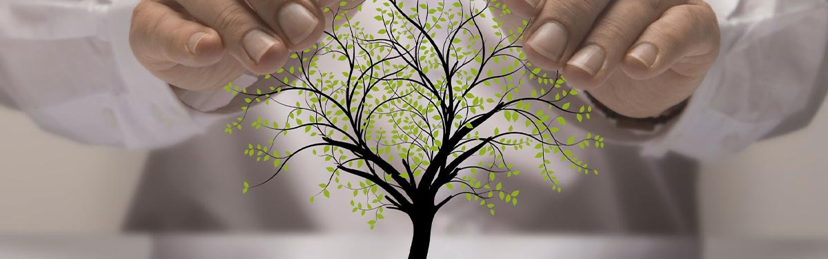 Csökkentsük ökológiai lábnyomunkat!