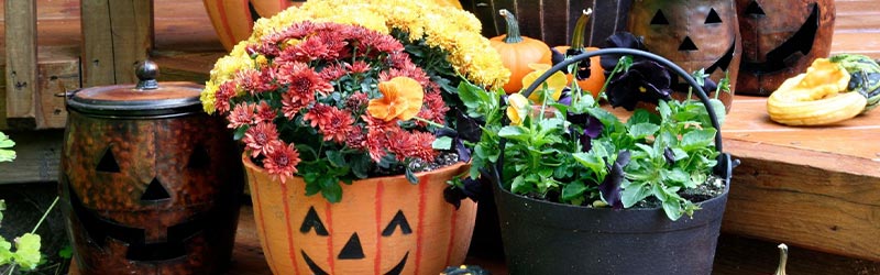 Hogyan készülj az őszre és a téli időre?